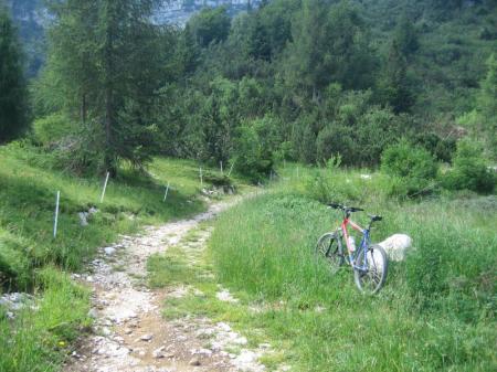 mtb rovereto 02 08