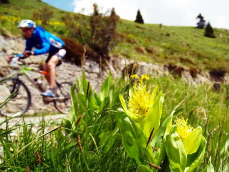 mtb vallediledro 06 01