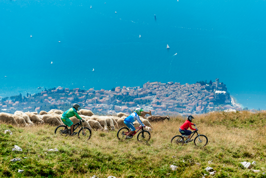 Panorama su Malcesine